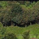 노온다목적운동장 이미지