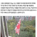 일장기 세종 아파트는 이거에 비하면 양호함 이미지