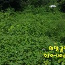 동구농장 이미지