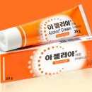 아젤리아 이미지