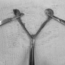 동주동물병원 이미지