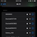 멍멍타요 이미지