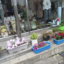 꽃그림 천아트 이미지