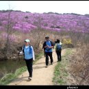 4월 15일 수요당일 화왕산,관룡산(767m) ※진달래산행 신청방 이미지