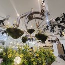 비안초등학교 | 대전 둔산동 미용실 비안이즈헤어샵 중학생 커트