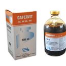 코리아양돈 이미지