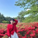 황금탕 | 속초 여행 노천탕이 있는 온천 척산온천 휴양촌 내돈내산 후기