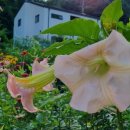 양평쉼하우스 이미지