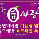 큐사랑 더 뷰티