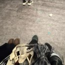 지움 어린이집 | 머리어깨무릎발걸음걸이주윤발