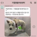 스타동물의료센터 이미지
