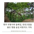 지금동 황골 약수터[지금-1] | 원주 국형사 둘레길,남녀노소 누구나 걷기좋은 피톤치드 가득한 명품 숲길