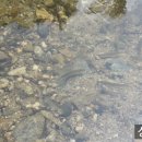 계곡캠핑펜션 이미지