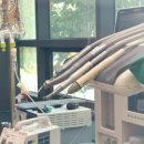 스무살의꿈 동물병원 이미지