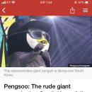 [BBC] Pengsoo: The rude giant penguin that South Korea fell in love with (해석추가) 이미지