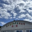 소나무푸드 | 강릉 초당 순두부 마을 차현희 순두부 청국장 본점 &amp; 소나무집 순두부 젤라또 내돈내산 후기