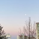 창해미트 | 21年 1月 기록