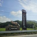 국립공원야생생물보전원 중부보전센터 이미지