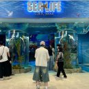 코엑스아쿠아리움 | 코엑스 아쿠아리움 후기｜서울 실내 데이트 코스 추천 (재방문 의사 200%)