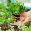 부자농장 이미지