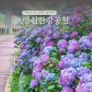 홍제자전거주차장 | 망원 한강공원 포장 텐트 피크닉 규정 자전거 나들이