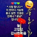 행복.사랑 이미지
