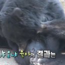 단군농장 이미지