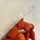 석영분식