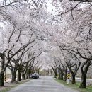 암곡와동경로당 이미지