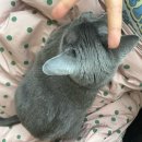 방가방가마트 | 새로운 6월이 시작됐어