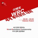 WRC11 세계루미큐브챔피언쉽 우승기원 이벤트 이미지