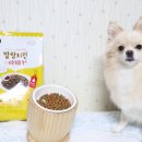 소프트치킨 이미지