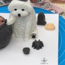 오늘뿐이개 | 강아지케이크 원데이클래스 이런분들께 추천 | 은평구 역촌동 | 오늘뿐이개 🐾🍰