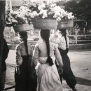 예화랑 머니투데이