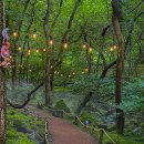 [월간 수목원/정원] 7월 한여름의 산림 속 휴식과 치유 이미지