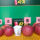 볼빨간농원