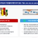 쎄니팡 이미지