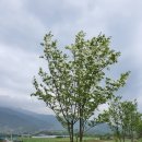 이팝농장 이미지