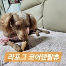 강아지 덴탈껌 라포그 코어덴탈츄 옐로우 간식 후기