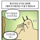 고양콘 취소표 이미지