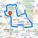 댕댕스토리 이미지