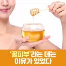 꿀피부 - 보령시 | 꿀피부