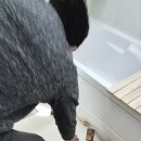 뚜레쥬르장유팔판마을점 | 김해 세면대 수리 전문｜김해시 관동동 팔판마을1단지 아파트 세면대 배수 문제 완벽 해결