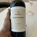 피오네로Pionero