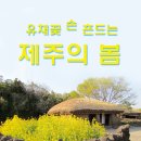 제주사랑여행사 네이버블로그