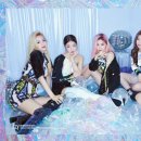 아이씨그룹 노컷뉴스