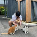 용인자연휴양림 | 용인자연휴양림 피크닉 후기｜데크자리 시간, 입장료, 주차, 아이랑 가기 좋은 서울 근교 나들이