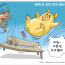 마니