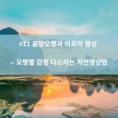 내 안의 분노를 다스리는 힐링명상 | #11 음양오행과 아로마 명상 – 오행별 감정 다스리는 자연명상법