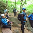 화개십리벚꽃길 이미지